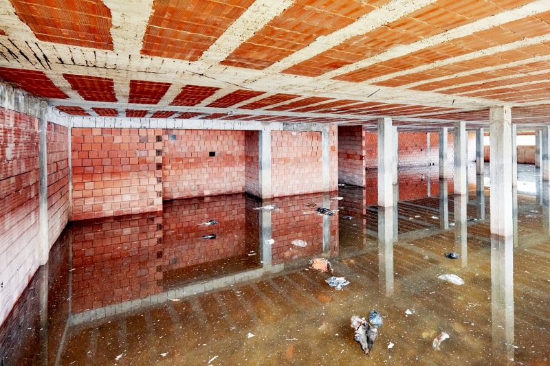 Basement Restoration Service in Phoenix, AZ