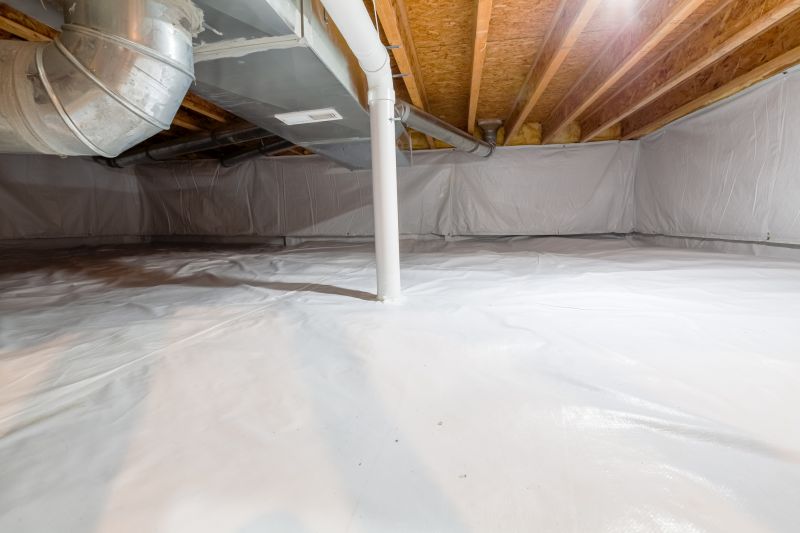Crawlspace Water Cleanup in Phoenix, AZ