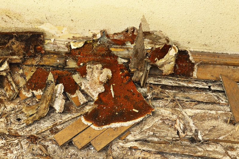 Decay Repair Service in Roswell, GA