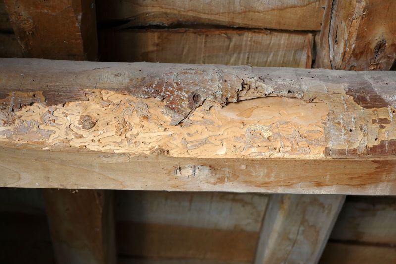 Decayed Wood Replacement in Conroe, TX