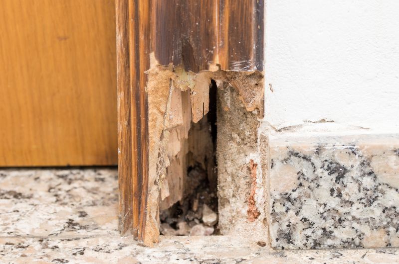 Decayed Wood Replacement in Roswell, GA