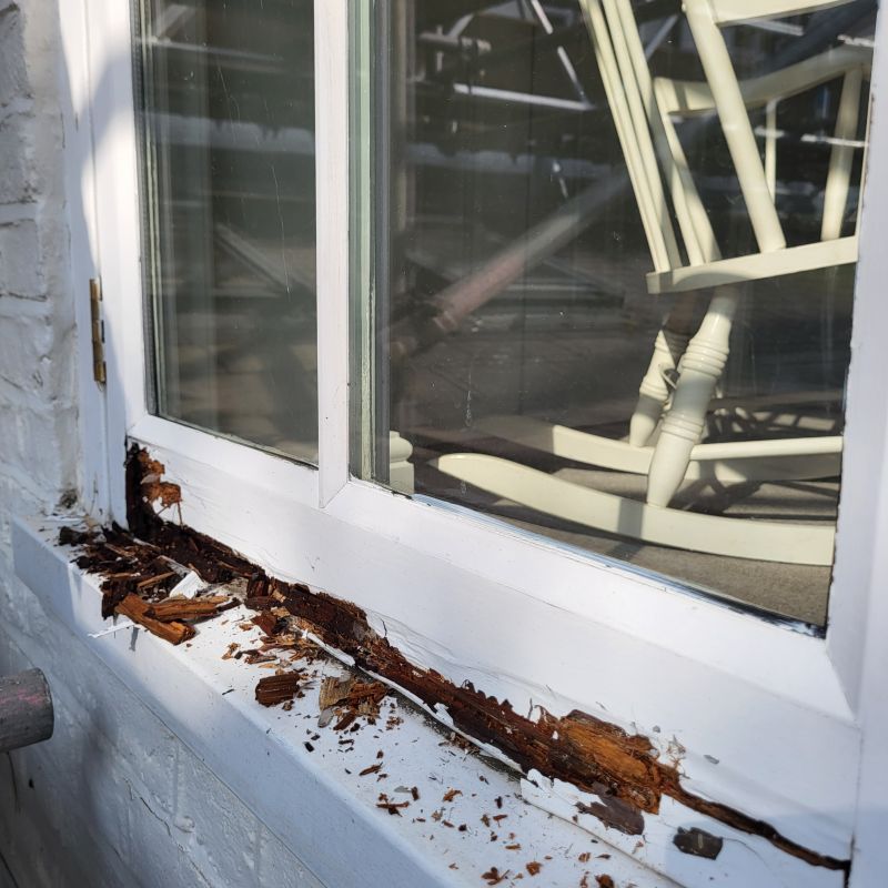 Decayed Wood Replacement in Longmont, CO