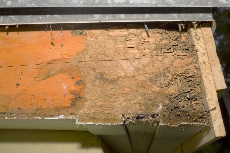Dry Rot Repair in Conroe, TX