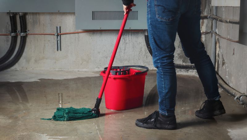 Flood Cleanup Service in Mesa, AZ