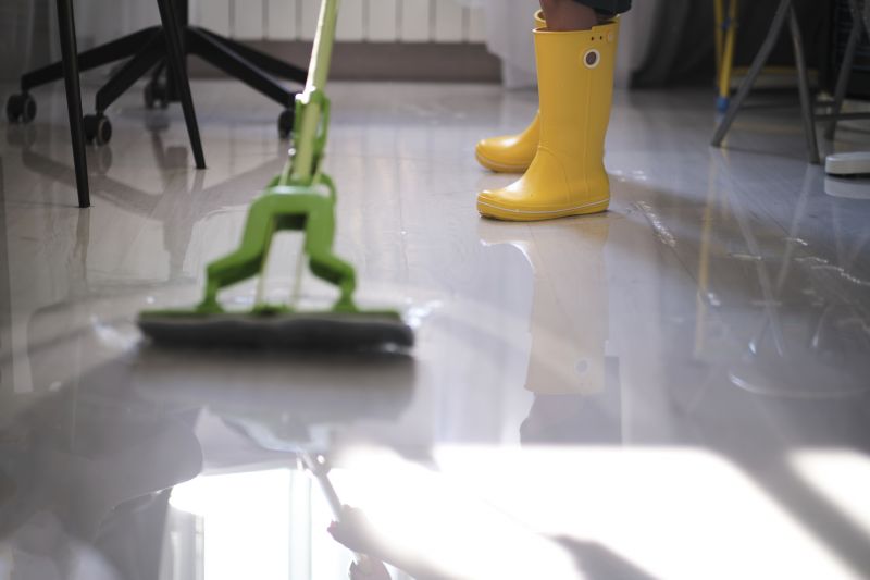 Moisture Removal Service in Mesa, AZ
