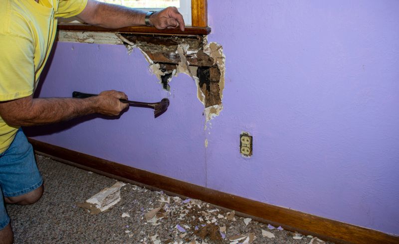 Pest Damage Repair in Olathe, KS