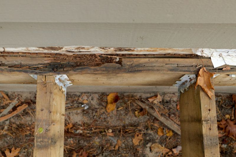Pest Damage Repair in Denver, CO
