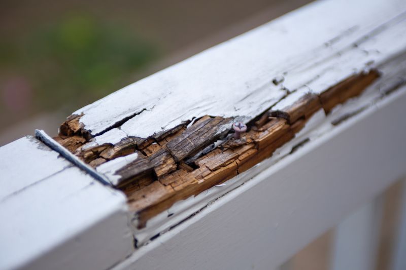 Rot Repair Service in Indianapolis, IN