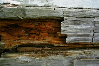 Rotten Wood Repair in Littleton, CO