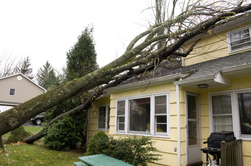 Storm Damage Mitigation in Mesa, AZ