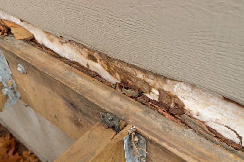Structural Rot Repair in Kansas City, KS