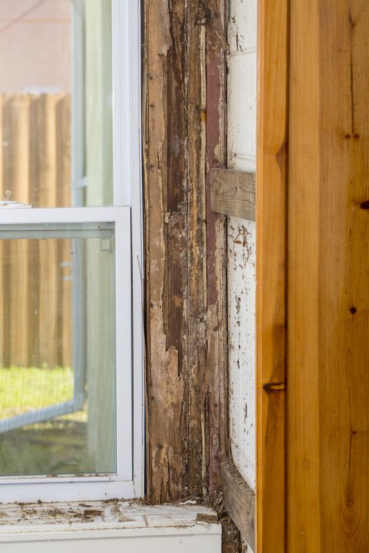 Termite Damage Restoration in Boulder, CO
