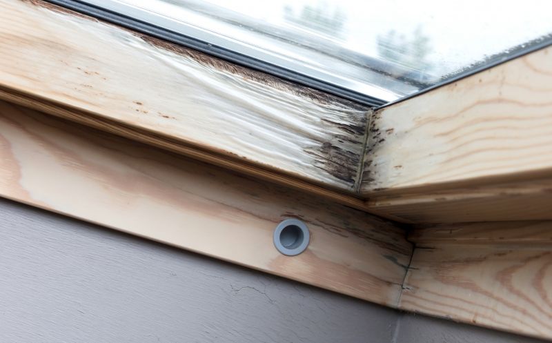 Window Rot Repair in Conroe, TX