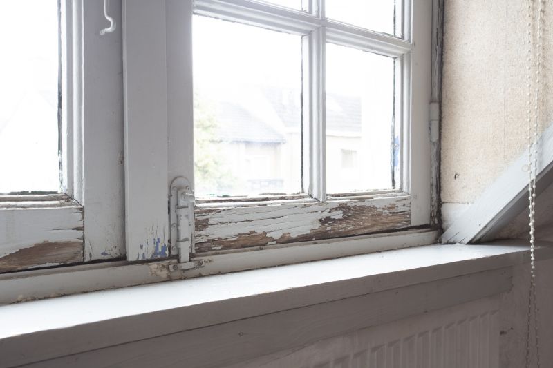 Window Rot Repair in Indianapolis, IN