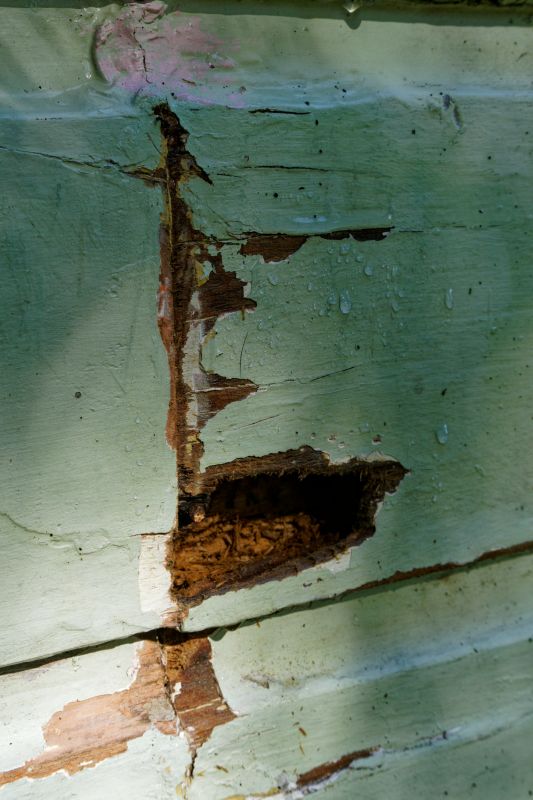 Exterior Wood Decay