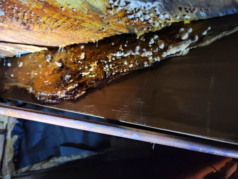 Infected Structural Components