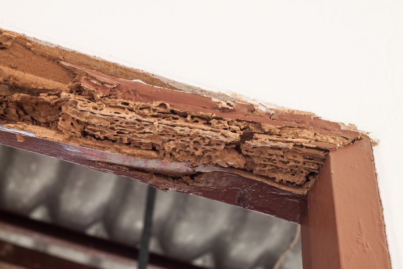 Wood Decay Removal in Conroe, TX
