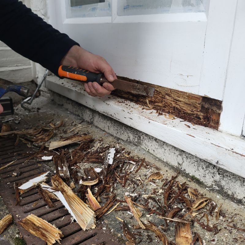 Wood Rot Removal in Conroe, TX